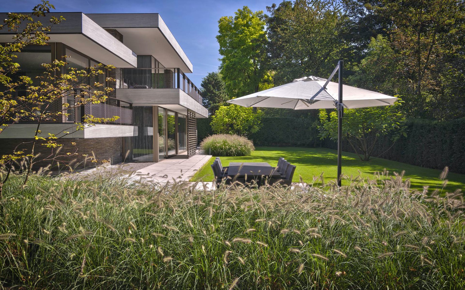 فضای سبز خانه ویلایی